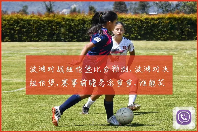波鸿对战纽伦堡比分预测,波鸿对决纽伦堡,赛事前瞻悬念重重,谁能笑到最后